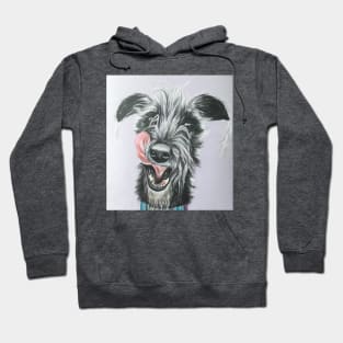 Cheeky scruffy Lurcher Hoodie